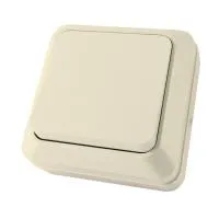 ЛАДОГА Выключатель о/у, 1 клавиша, б/инд, 10А, 230В, IP20, сл.кость. SQ1801-0002 — фото