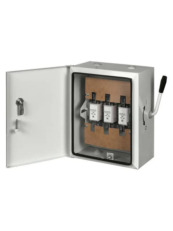 Ящик с рубильником ЯБПВУ-100А IP54 (с ПН-2) Народный | SQ1603-0005 | TDM