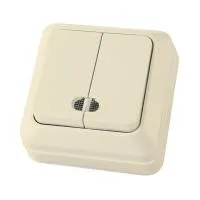 ЛАДОГА Выключатель о/у, 2 клавиши, с/инд, 10А, 230В, IP20, сл.кость. SQ1801-0008 — фото