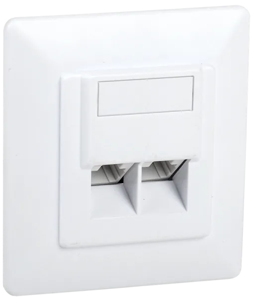 Розетка информац. для внутр. монтажа RJ45 2 порта IDC Dual | CS2-1C5EU-21 | ITK