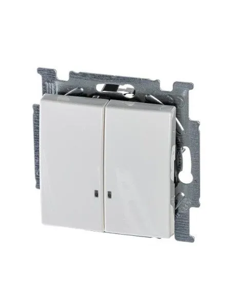 ABB Basic 55 Альп. белый Выключатель 2-клавишный с подсветкой | 1012-0-2154  | 2CKA001012A2154 | ABB — фото