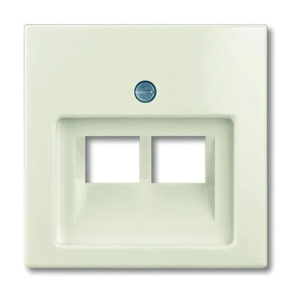 ABB Basic 55 Сл. кость Накладка 2-ой ТЛФ/комп розетки наклонной | 1753-0-0097  | 2CKA001753A0097 | ABB — фото