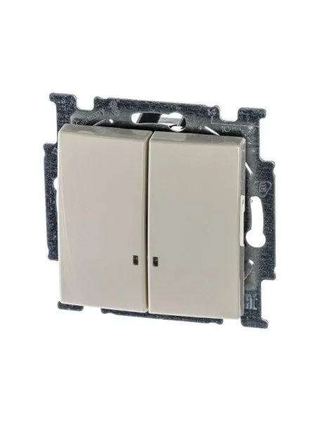 ABB Basic 55 Сл. кость Выключатель 2-клавишный с подсветкой | 1012-0-2157  | 2CKA001012A2157 | ABB — фото