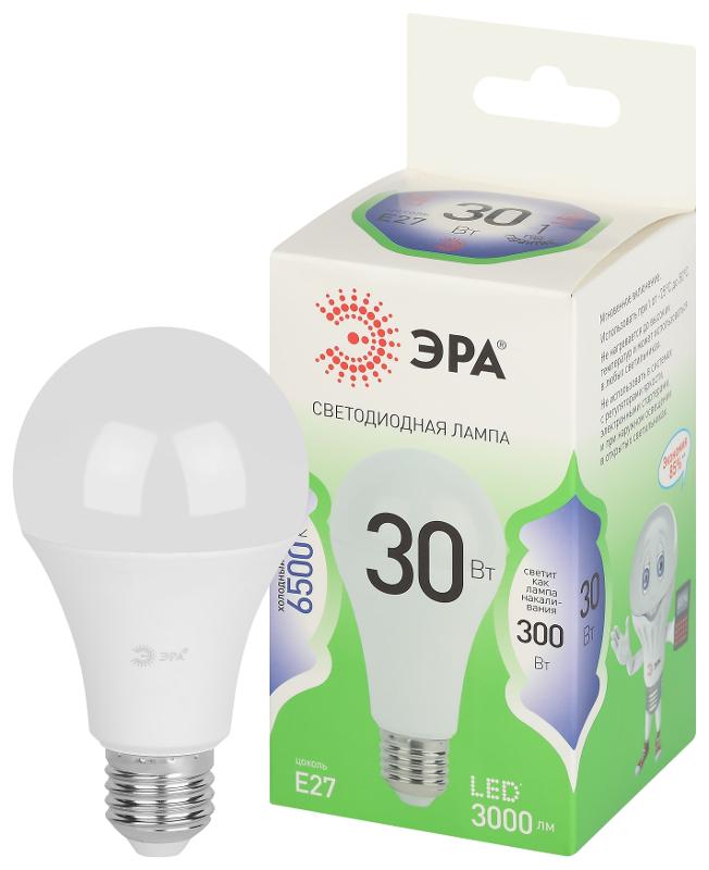 Лампа светодиодная  GREEN LINE LED A65-30W-865-E27 GL E27 30 Вт груша холодный свет | Б0067145 | ЭРА — фото
