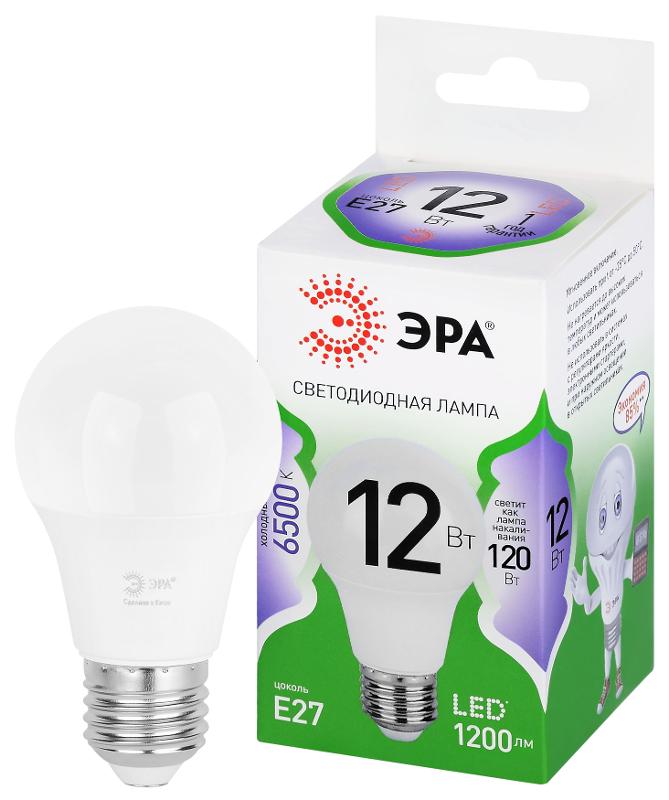 Лампа светодиодная  GREEN LINE LED A60-12W-865-E27 GL E27 12 Вт груша холодный свет | Б0067129 | ЭРА — фото