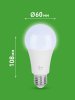 Лампа светодиодная  GREEN LINE LED A60-25W-865-E27 GL E27 25 Вт груша холодный свет | Б0067111 | ЭРА — фото