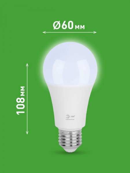 Лампа светодиодная  GREEN LINE LED A60-25W-865-E27 GL E27 25 Вт груша холодный свет | Б0067111 | ЭРА — фото