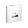 ArtGallery Белый Розетка USB A + тип-C 45Вт высокоскор.заряд. QC, PD, механизм | GAL000129 | SE — фото