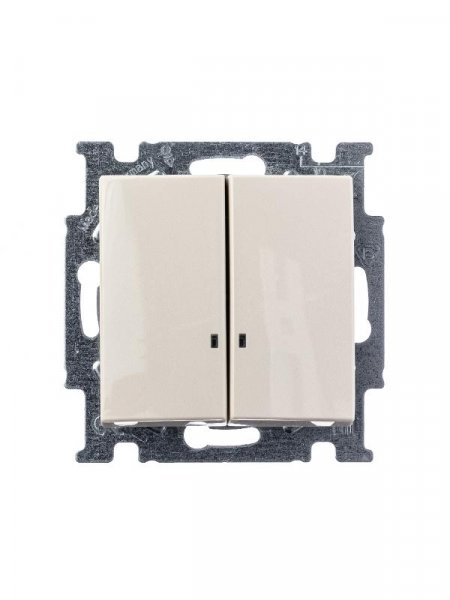 ABB Basic 55 Сл. кость Выключатель 2-клавишный с подсветкой | 1012-0-2157  | 2CKA001012A2157 | ABB — фото