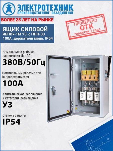 ЯБПВУ-1М У3, с ППН-33 100А, держатели медь, IP54, ящик силовой  (ЭТ) | ET012172 | Электротехник — фото