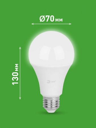 Лампа светодиодная  GREEN LINE LED A65-30W-840-E27 GL E27 30 Вт груша яркий белый свет | Б0067144 | ЭРА — фото