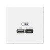 ArtGallery Белый Розетка USB A + тип-C 45Вт высокоскор.заряд. QC, PD, механизм | GAL000129 | SE — фото