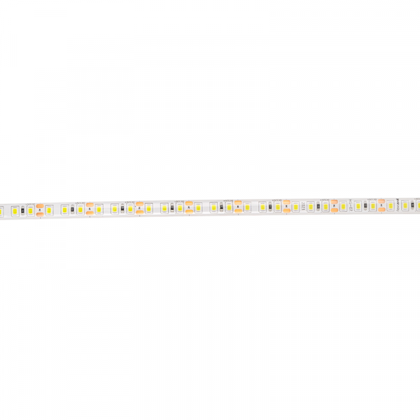 Лента светодиодная LED PLS 2835/120 12Вт 12В 6500К IP65 5м | 2859099 | Jazzway — фото