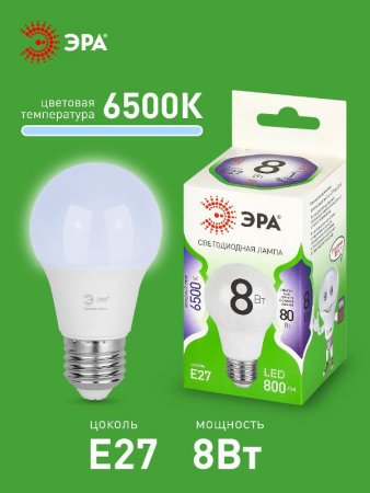 Лампа светодиодная  GREEN LINE LED A60-8W-865-E27 GL E27 8 Вт груша холодный свет | Б0067142 | ЭРА — фото