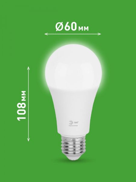 Лампа светодиодная  GREEN LINE LED A60-25W-840-E27 GL E27 25 Вт груша яркий белый свет | Б0067117 | ЭРА — фото