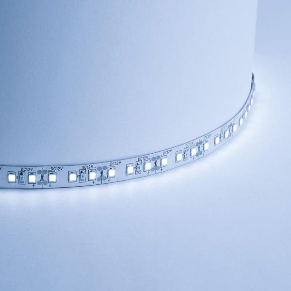 Лента светодиодная LS612/ 120SMD(2835)/м 9.6Вт/м 12V 5000*10*1.22мм 6500К,IP20 | 27729 | FERON — фото