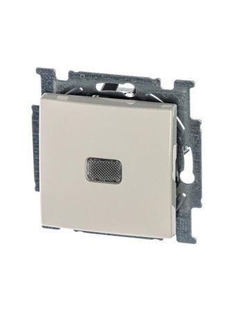 ABB Basic 55 Сл. кость Выключатель 1-клавишный с подсветкой | 1012-0-2156  | 2CKA001012A2156 | ABB — фото