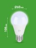 Лампа светодиодная GREEN LINE LED A60-20W-865-E27 GL E27 20 Вт груша холодный свет | Б0067102 | ЭРА — фото