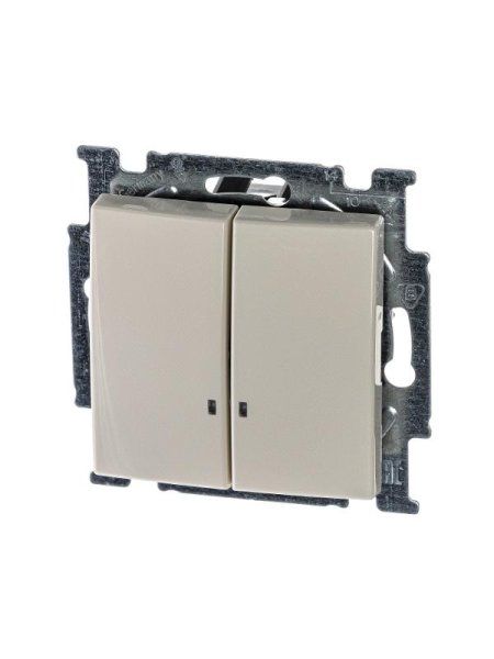 ABB Basic 55 Сл. кость Выключатель 2-клавишный с подсветкой | 1012-0-2157  | 2CKA001012A2157 | ABB — фото