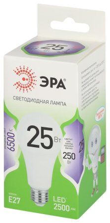 Лампа светодиодная  GREEN LINE LED A60-25W-865-E27 GL E27 25 Вт груша холодный свет | Б0067111 | ЭРА — фото