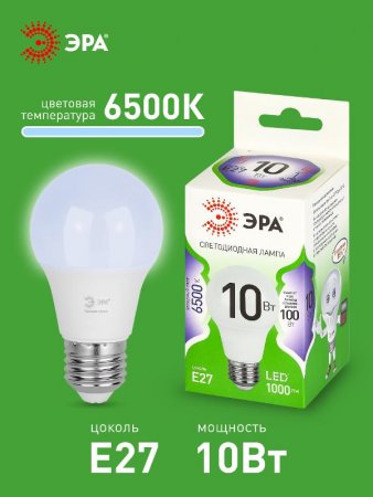 Лампа светодиодная  GREEN LINE LED A60-10W-865-E27 GL E27 10 Вт груша холодный свет | Б0067090 | ЭРА — фото