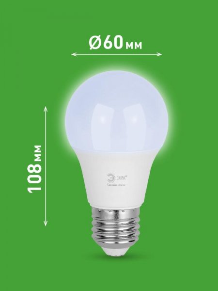 Лампа светодиодная  GREEN LINE LED A60-8W-865-E27 GL E27 8 Вт груша холодный свет | Б0067142 | ЭРА — фото