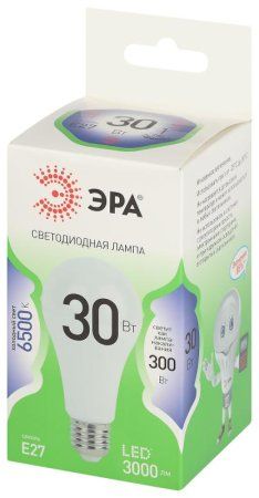 Лампа светодиодная  GREEN LINE LED A65-30W-865-E27 GL E27 30 Вт груша холодный свет | Б0067145 | ЭРА — фото